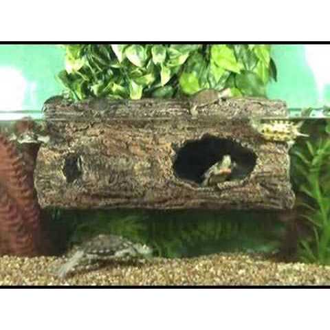 Floating Aquarium Log P617