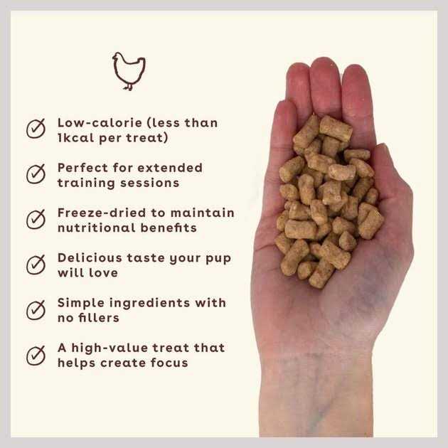 Chicken Freeze-Dried Dog Treats Y885403