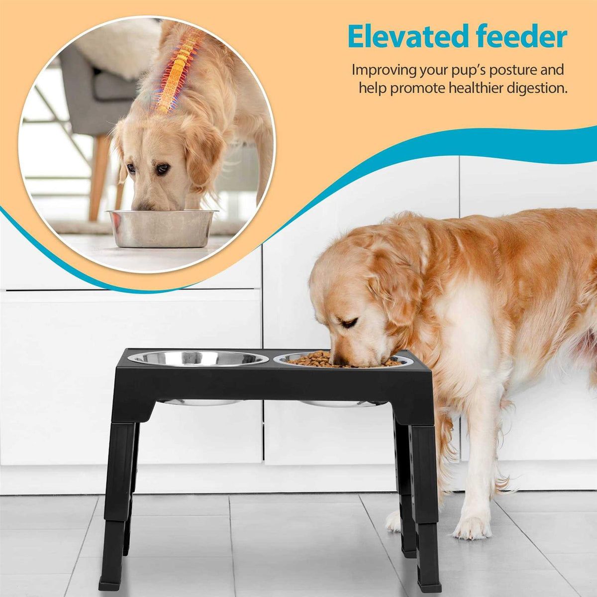 Elevated Dog Bowls with 2 Stainless Steel Bowls I2211