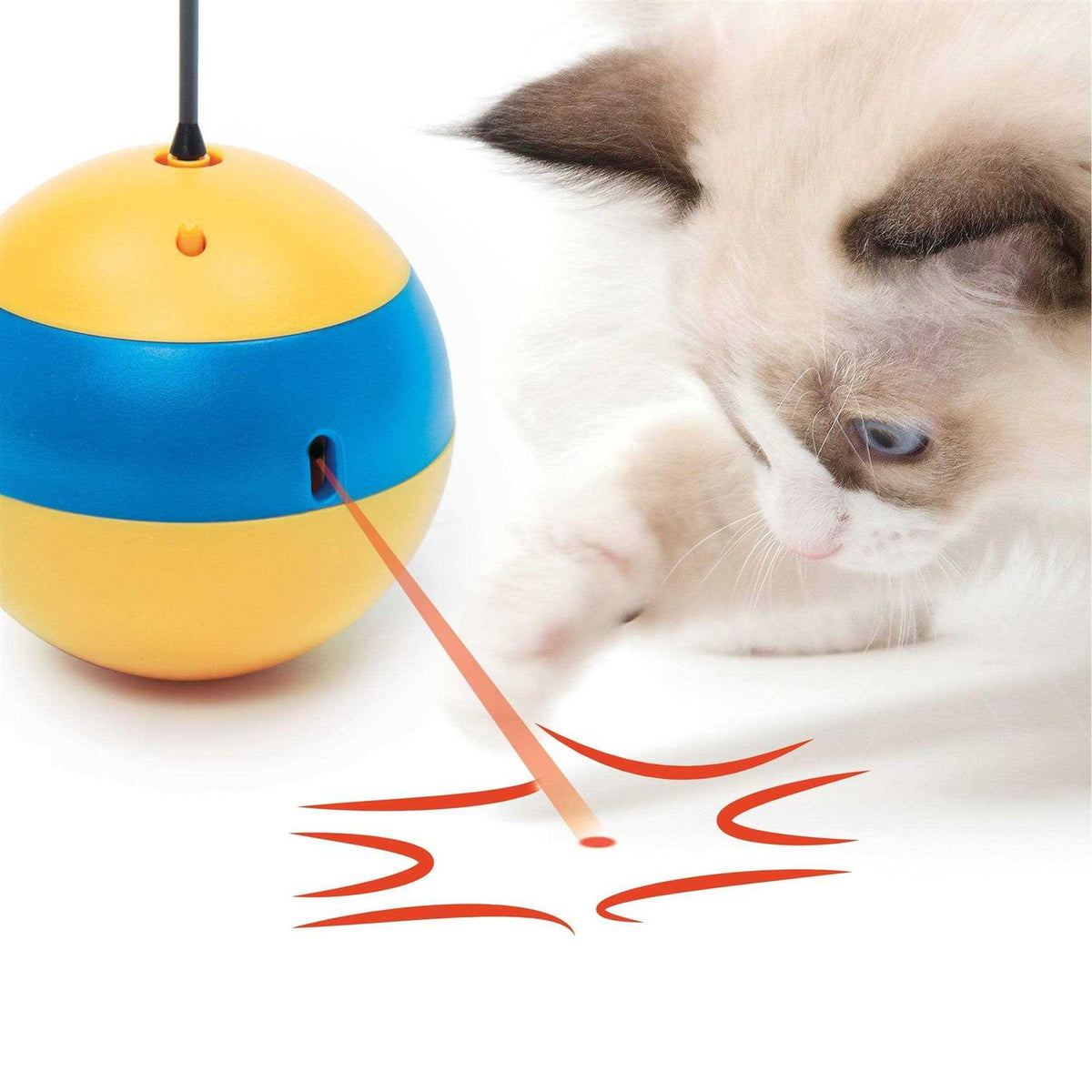 Interactive Cat Toy B542655