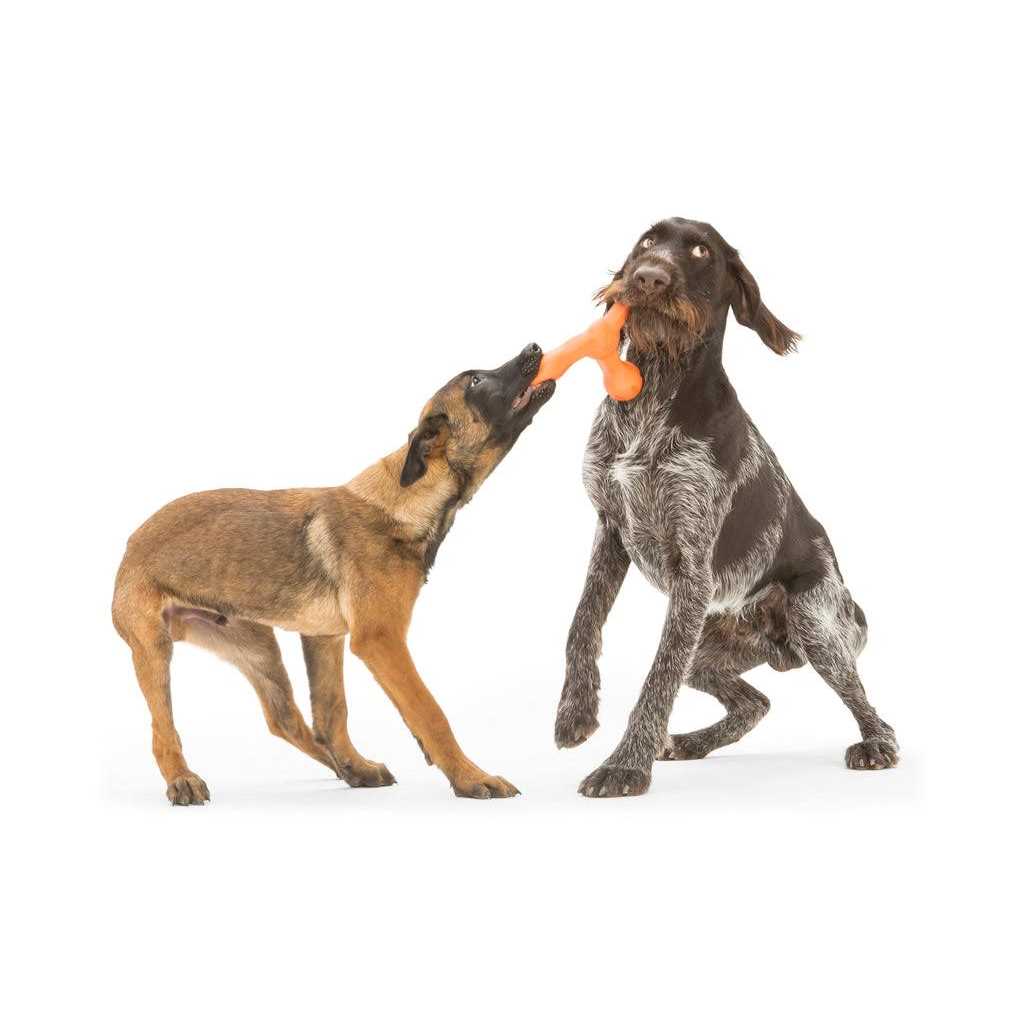Dog Toy T490