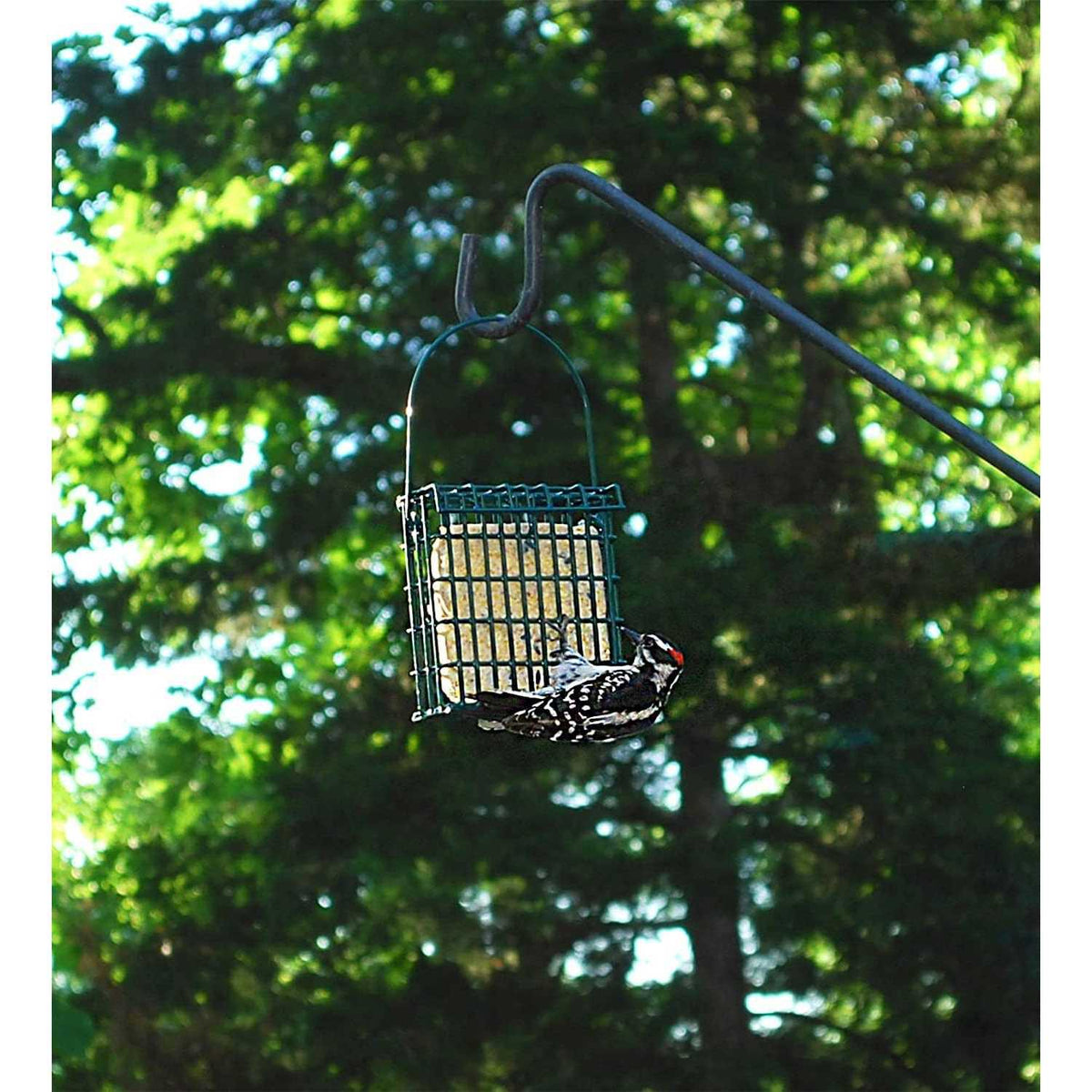 High Energy Wild Bird Suet L514148