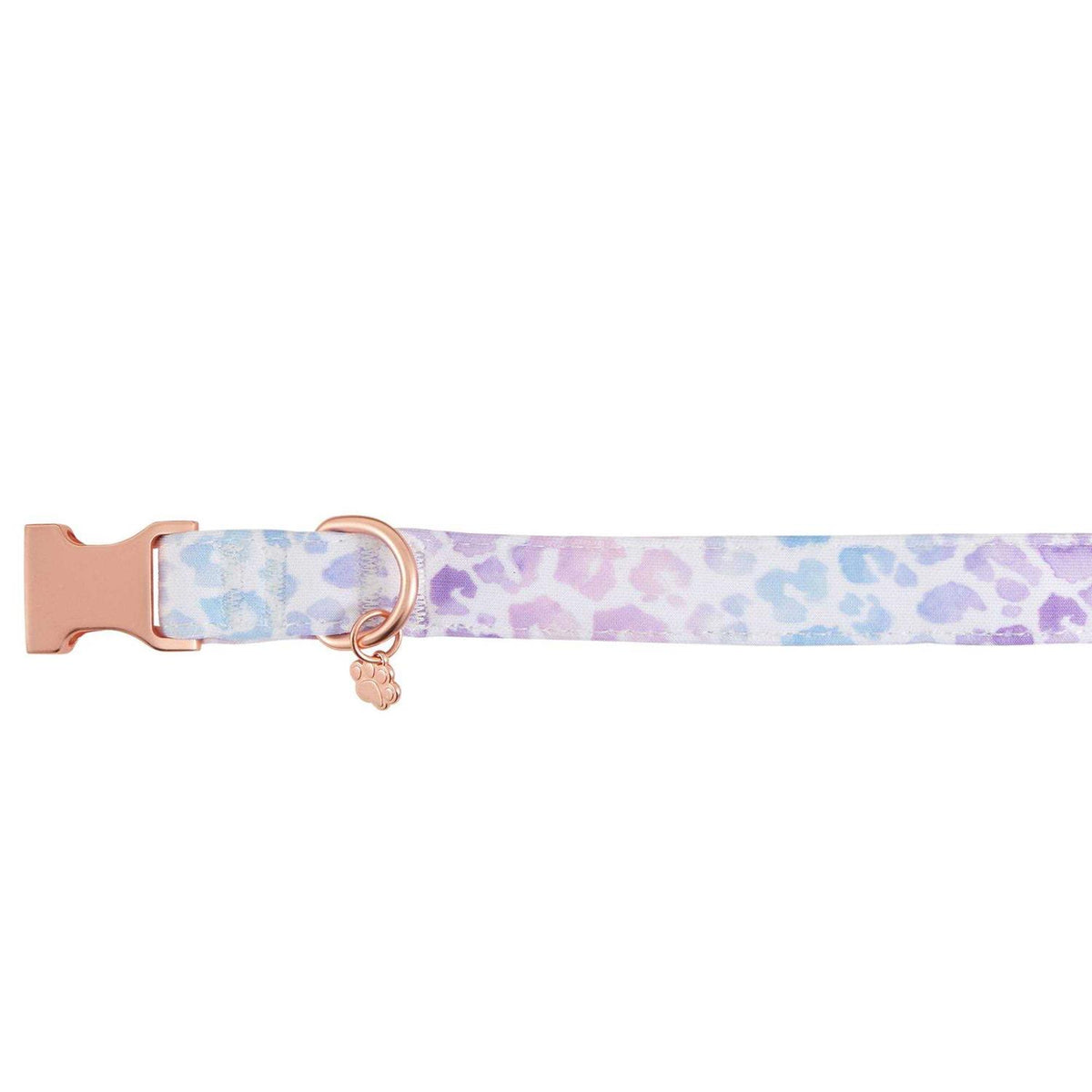 Purple Neoprene Dog Collar A2439