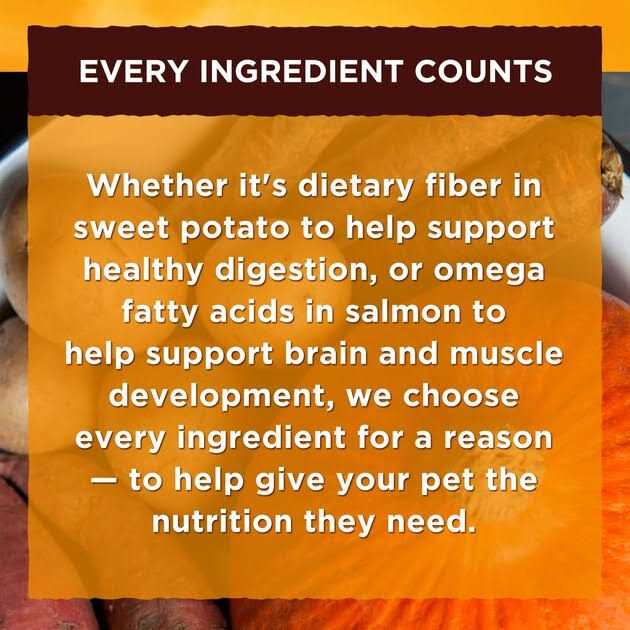 Wet Dog Food T60086