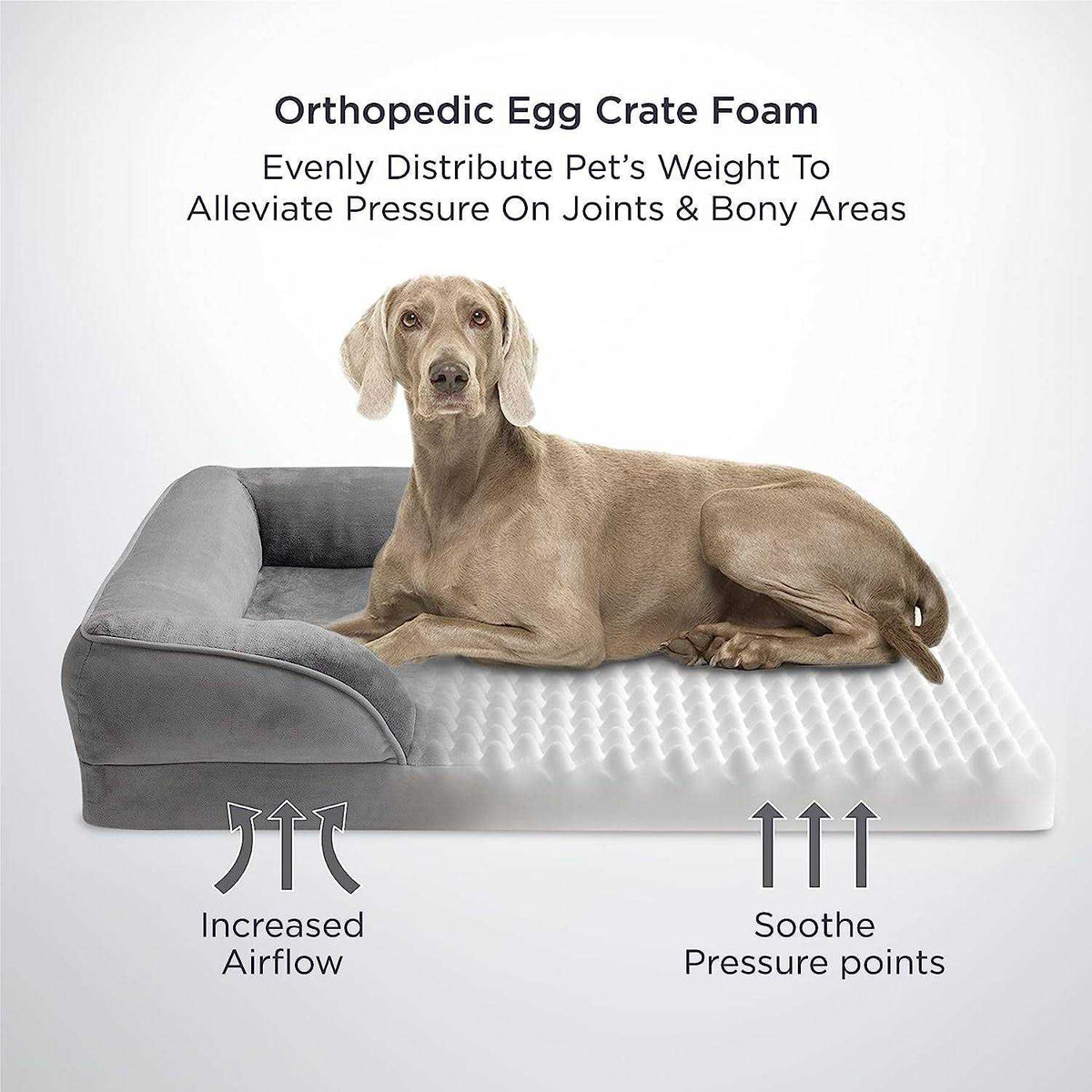 Washable Orthopedic Dog Bed P38687