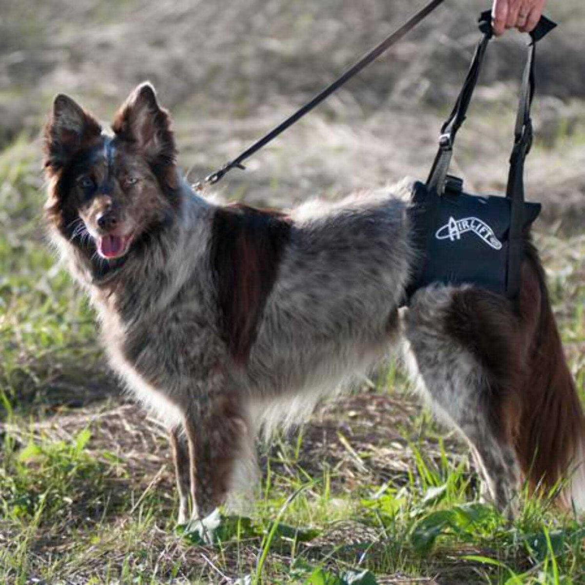 Support Harness K247382