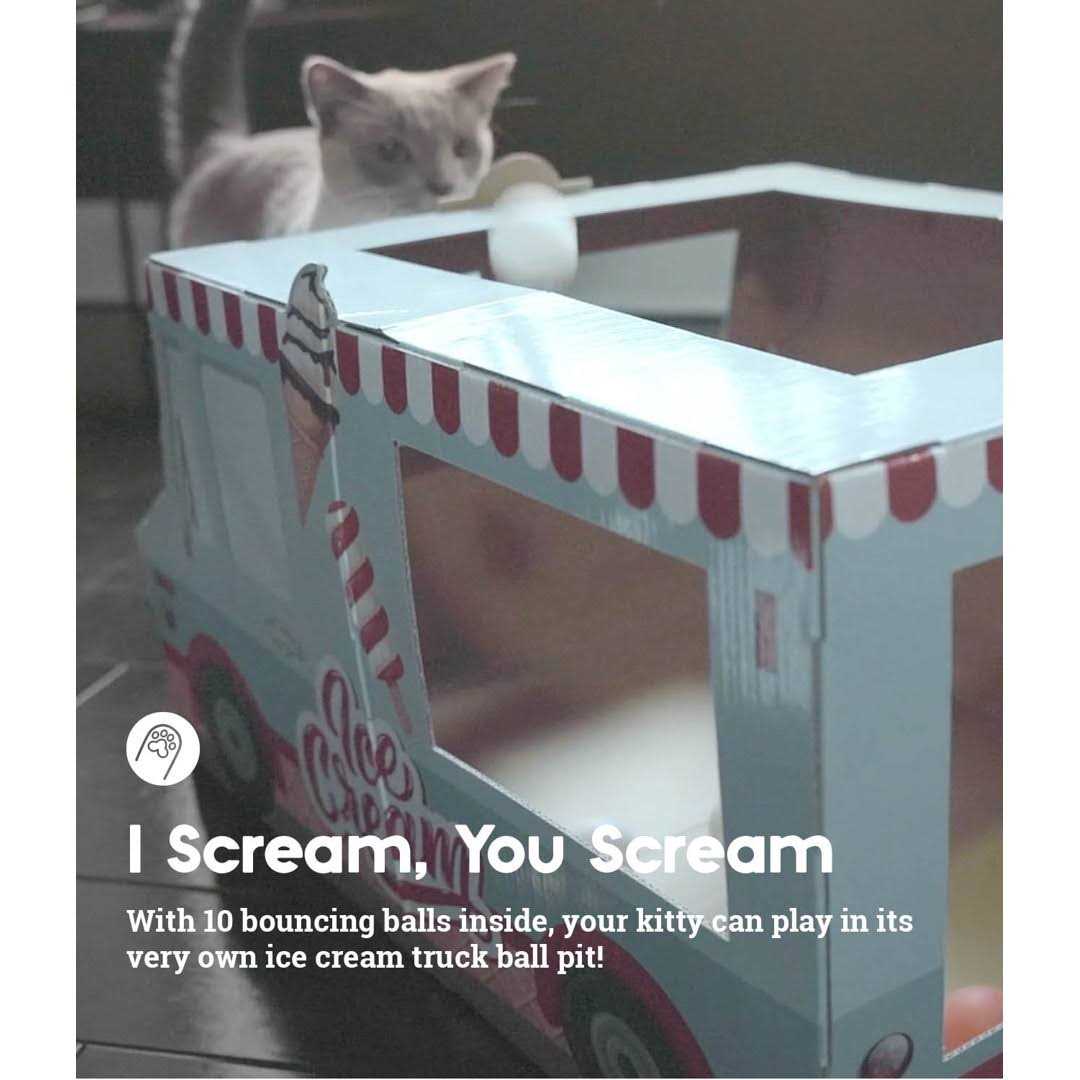 Cardboard Cat Toy C43101