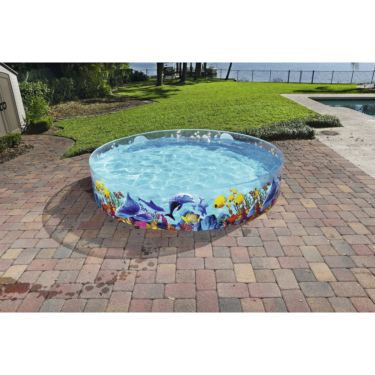 Round Swimming Pool Q580862