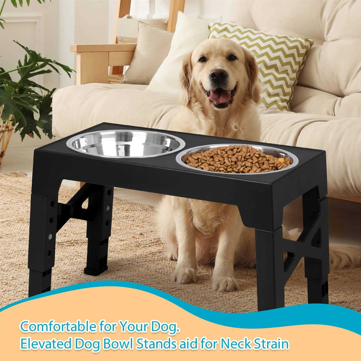 Elevated Dog Bowls with 2 Stainless Steel Bowls I2211