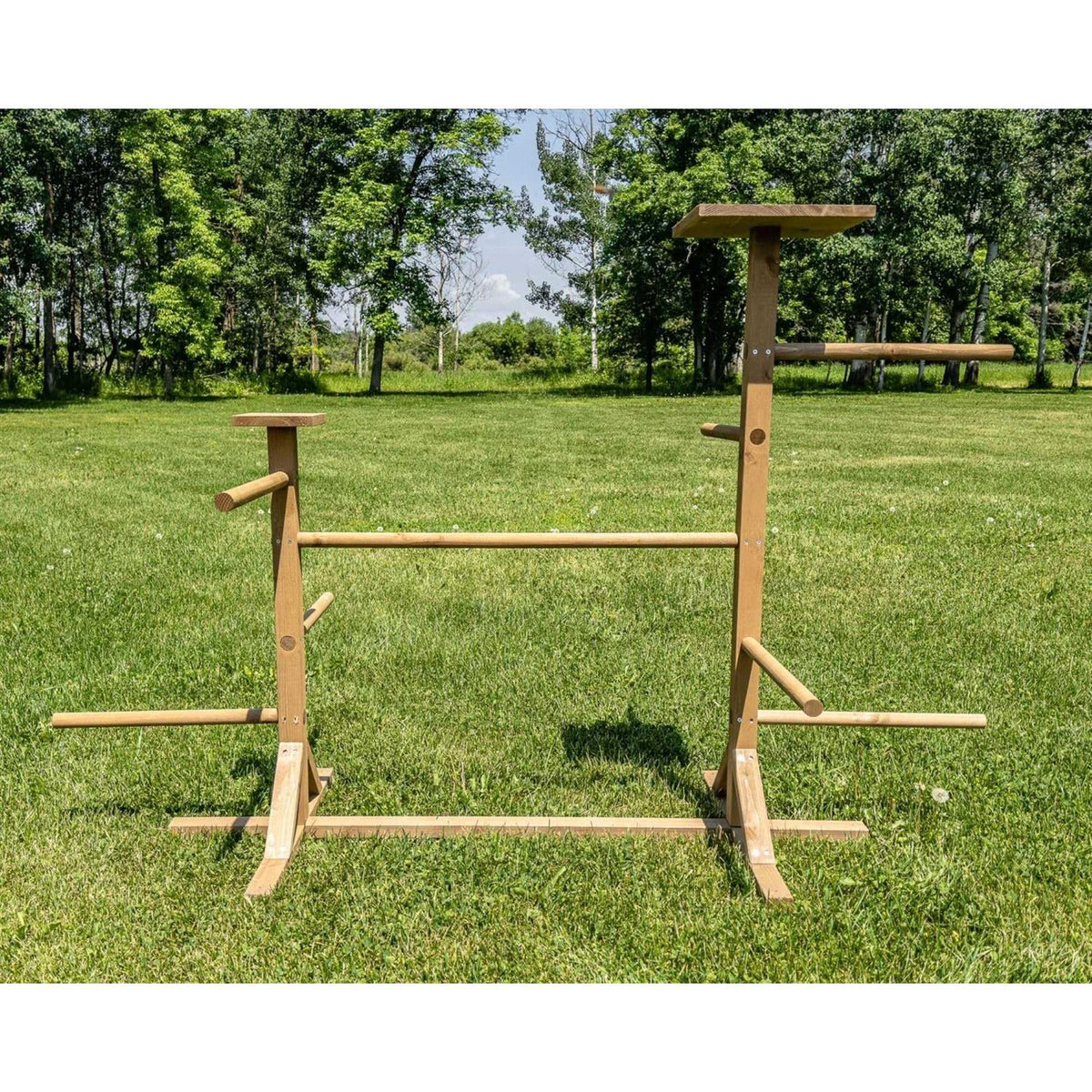 Double Roosting Perch R4274