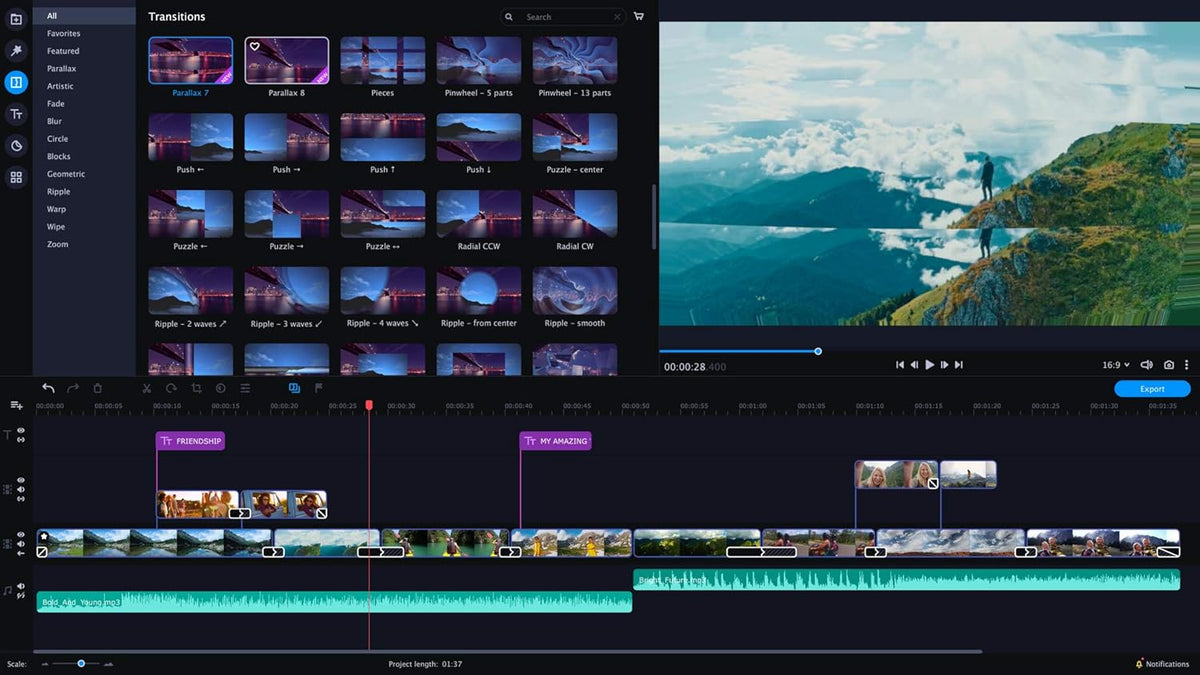 Video Editor Plus Personal license O731070