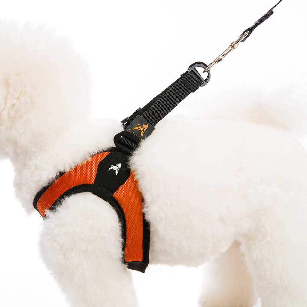 Dog Harness X4327