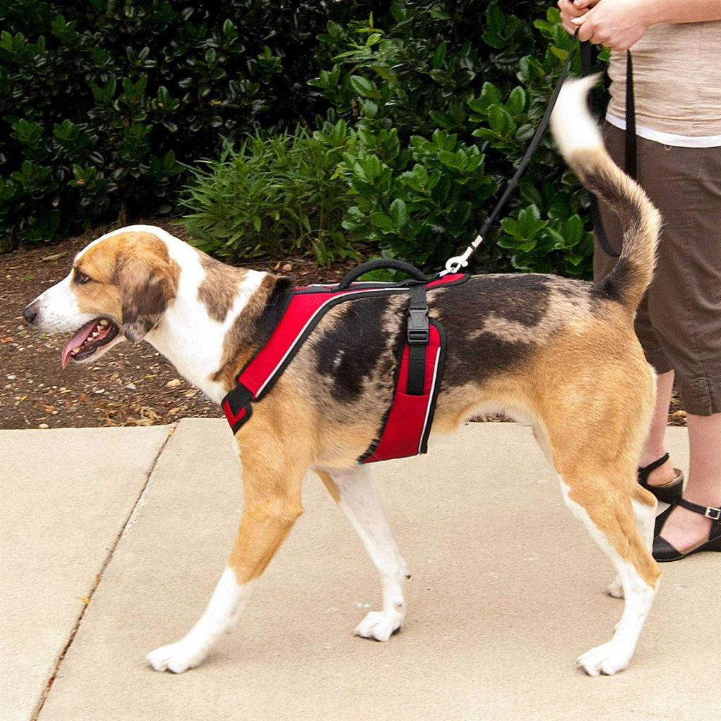 Dog Harness L3435