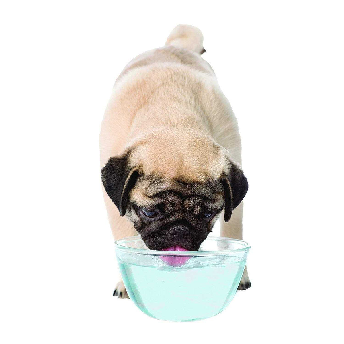 Liquid Tartar Remover Water Additive for Dogs O20430