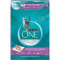 Kitten Dry Food N96850