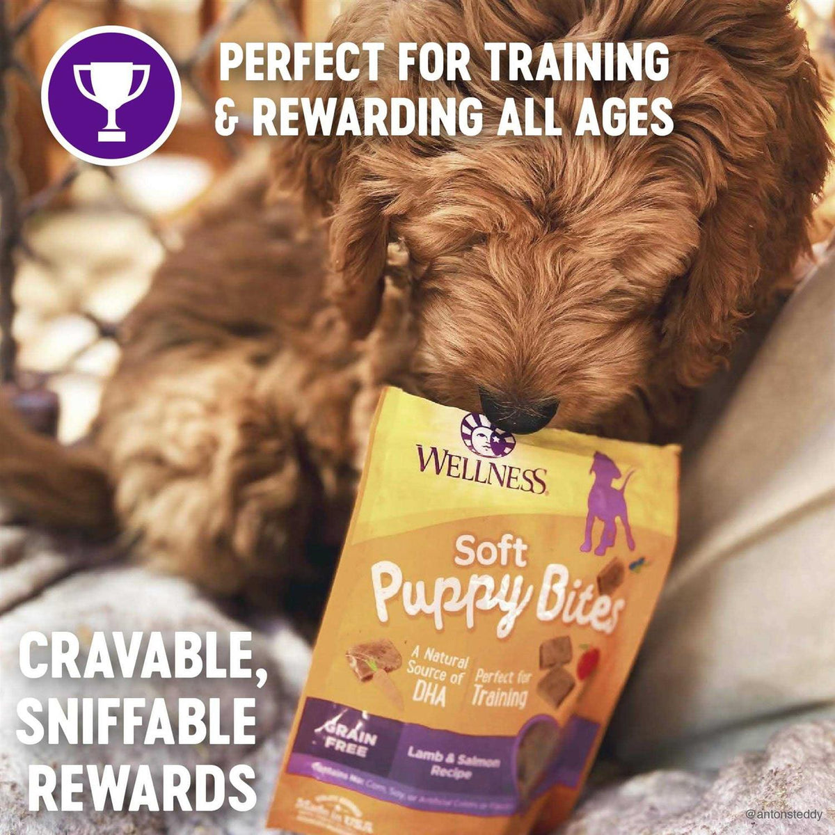 Dog Treats N87656