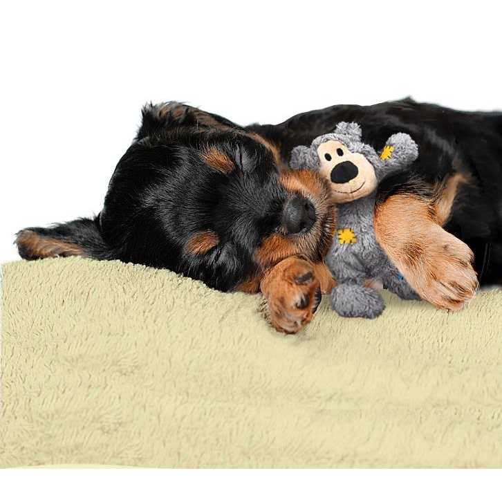 Bear Dog Toy Y249808