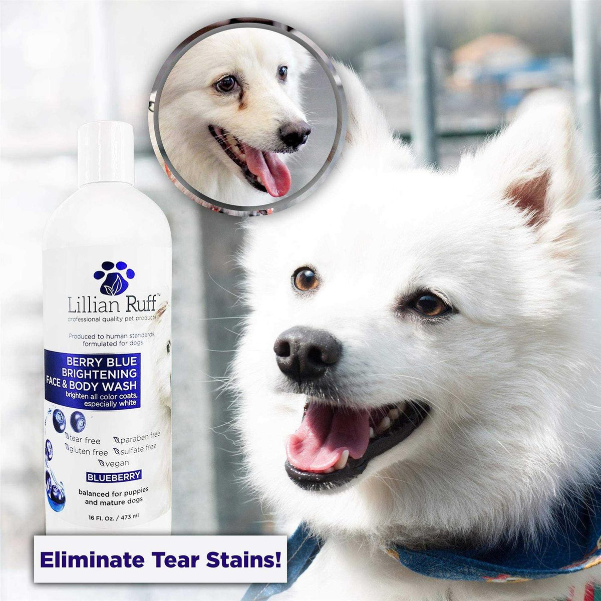 Berry Blue Brightening Face and Body Wash for Dogs and Cats Y3129