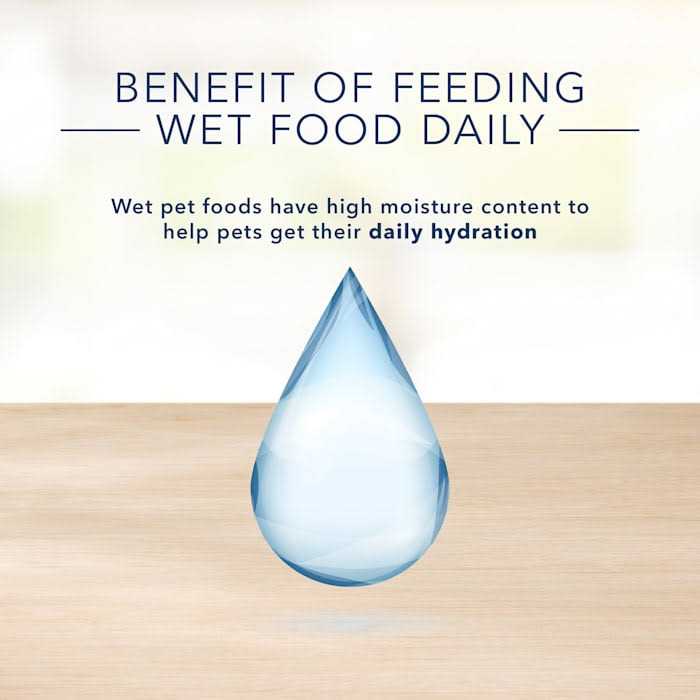 Adult Wet Cat Food J370