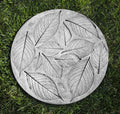 Stepping Stone S765