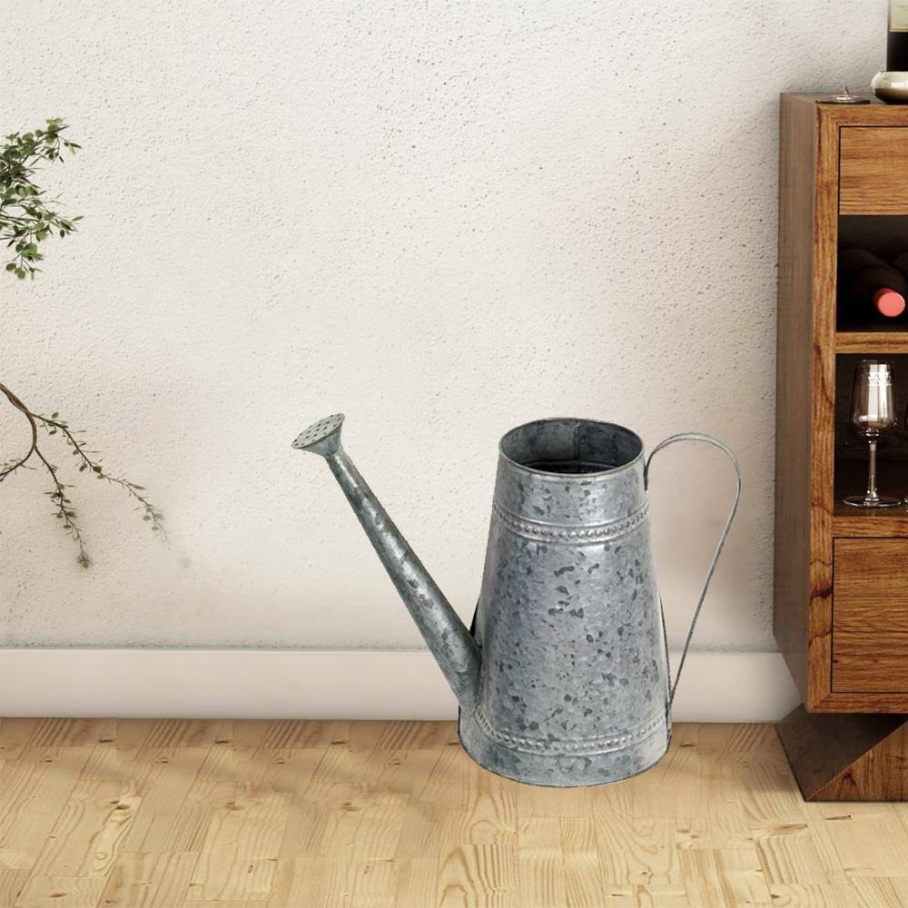 Water Can Set of 2 Metal Q840923
