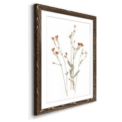 Pressed Botanical Print N7528