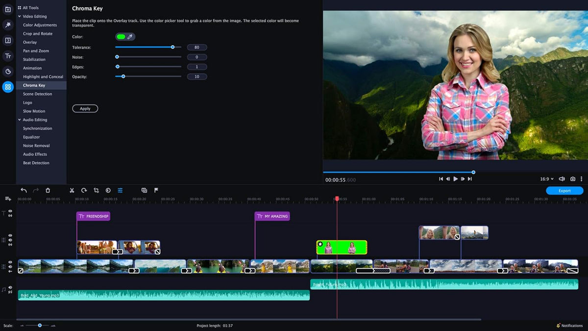 Video Editor Plus Personal license O731070
