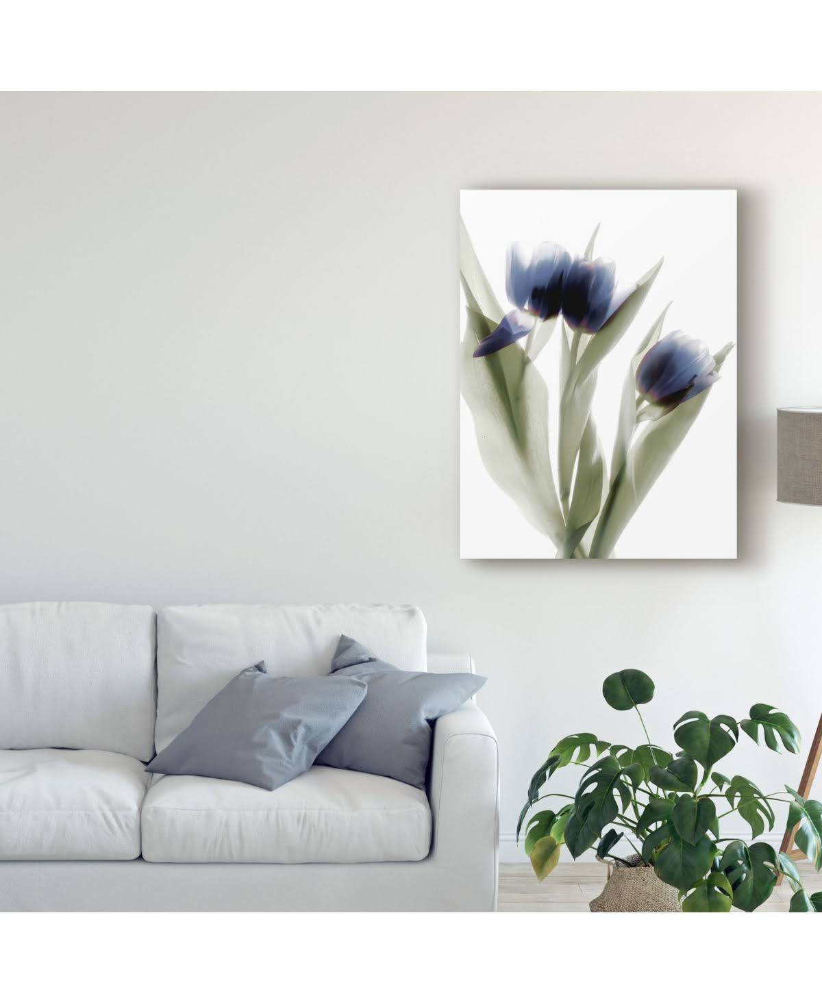 Canvas U905