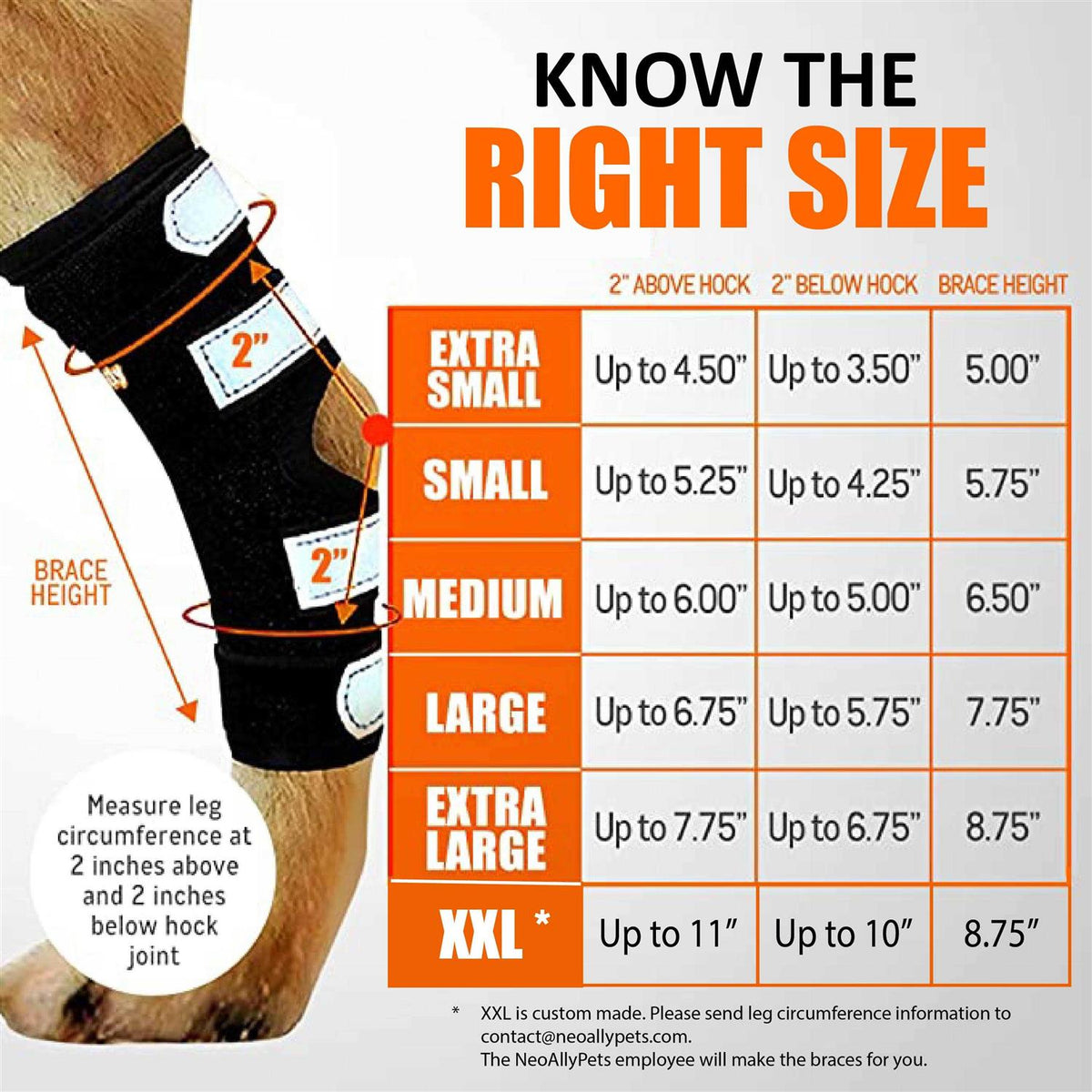 3-in-1 Dog Rear Leg Support Splint Braces R653127