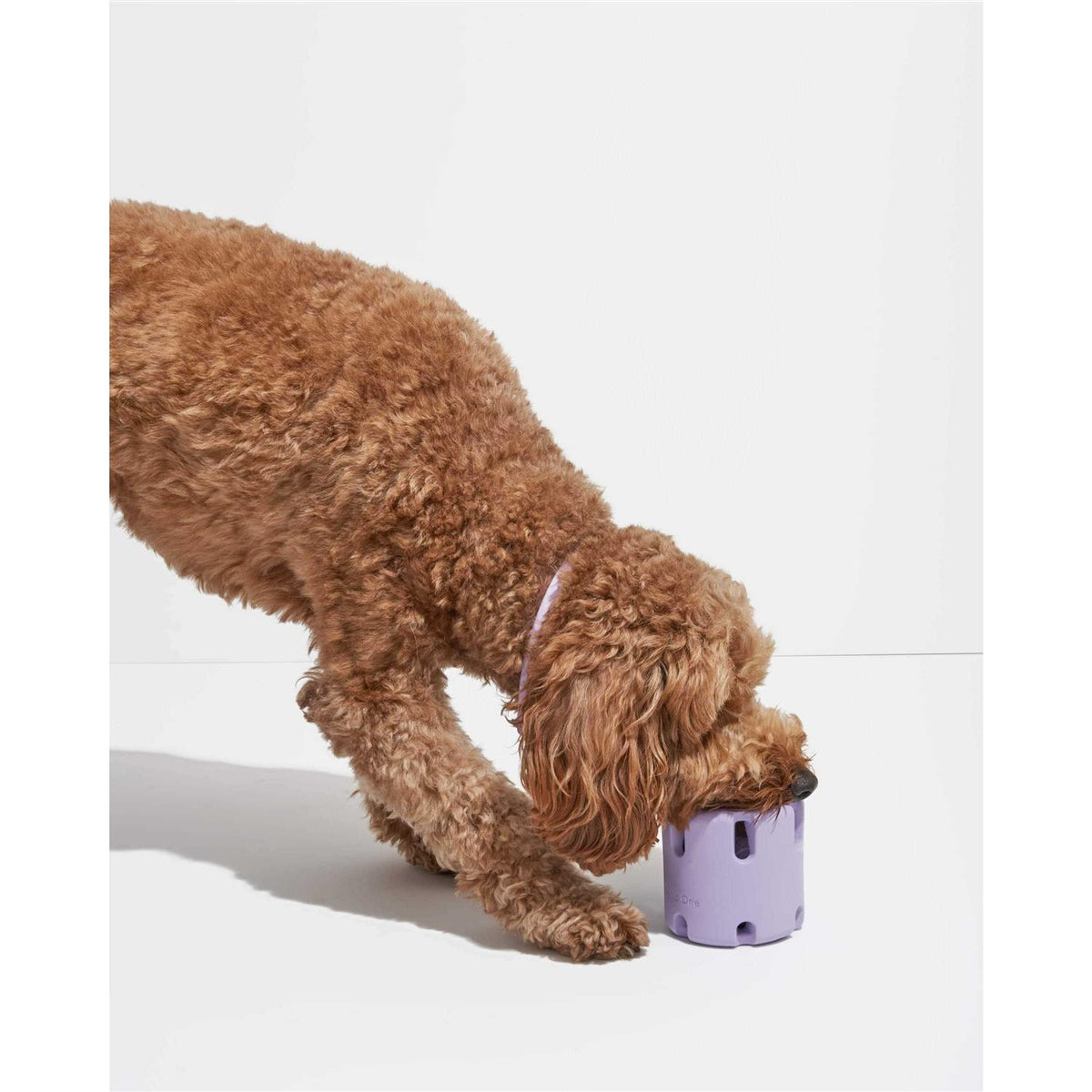Dog Toy P82900