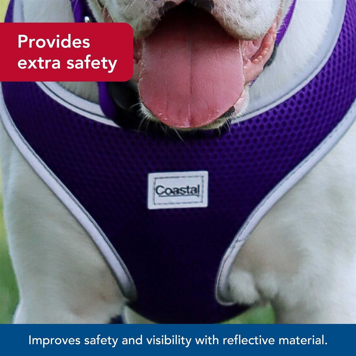 Adjustable Dog Harness E236