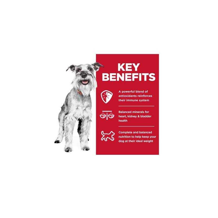 Adult 7+ Chicken & Barley Dog Food N330