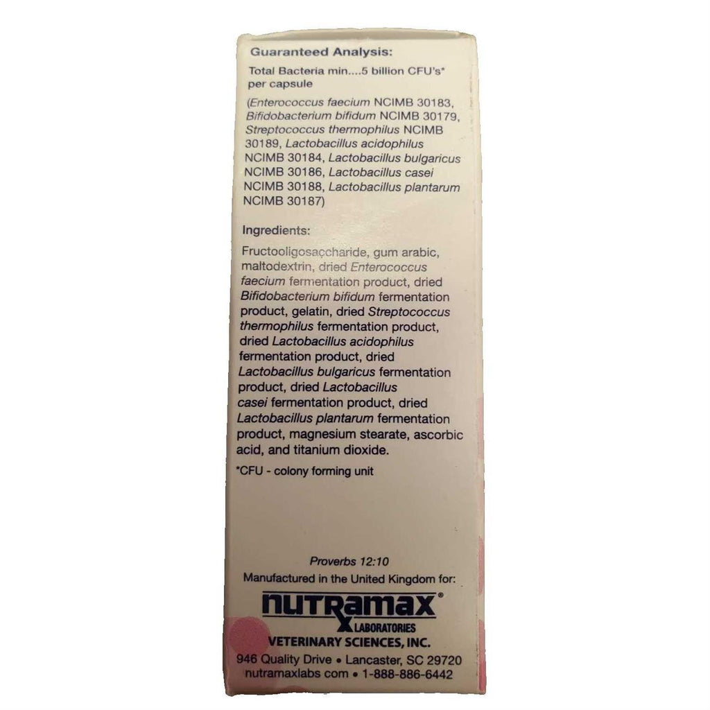 Cat Digestive Supplement Capsules Y757529