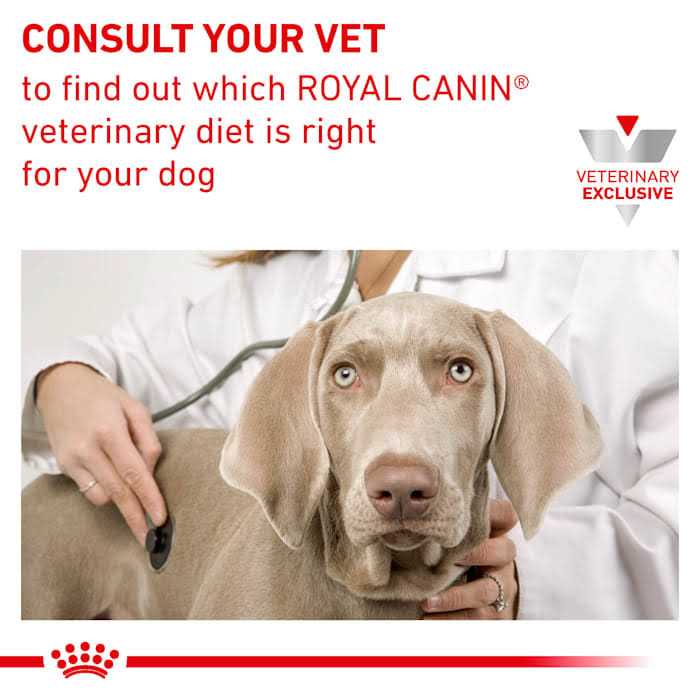 Aging 7+ Dry Dog Food V70443