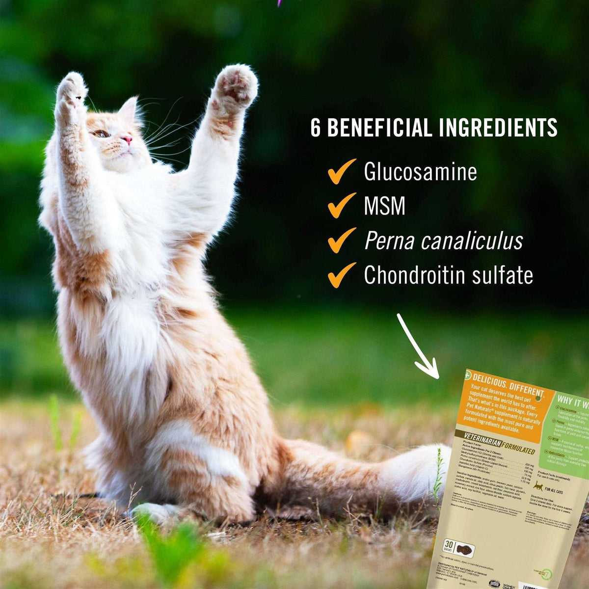 Hip + Joint for Cats Z14602