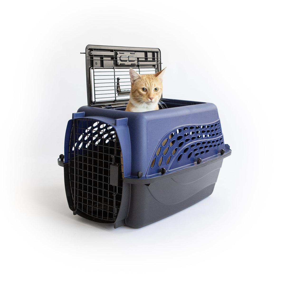 Blue 24 2-Door Plastic Pet Carrier J850096