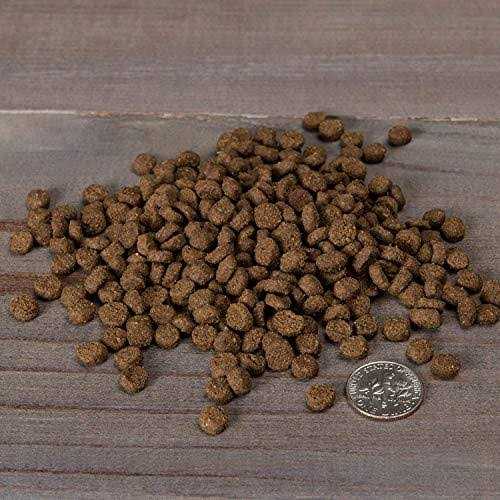 Senior Dry Cat Food Alaska Pollock B995