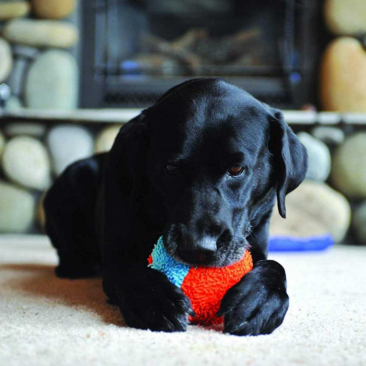 Indoor Dog Toy C290