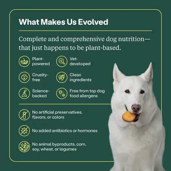 Golden Rotisserie Flavor Dry Dog Food G24309