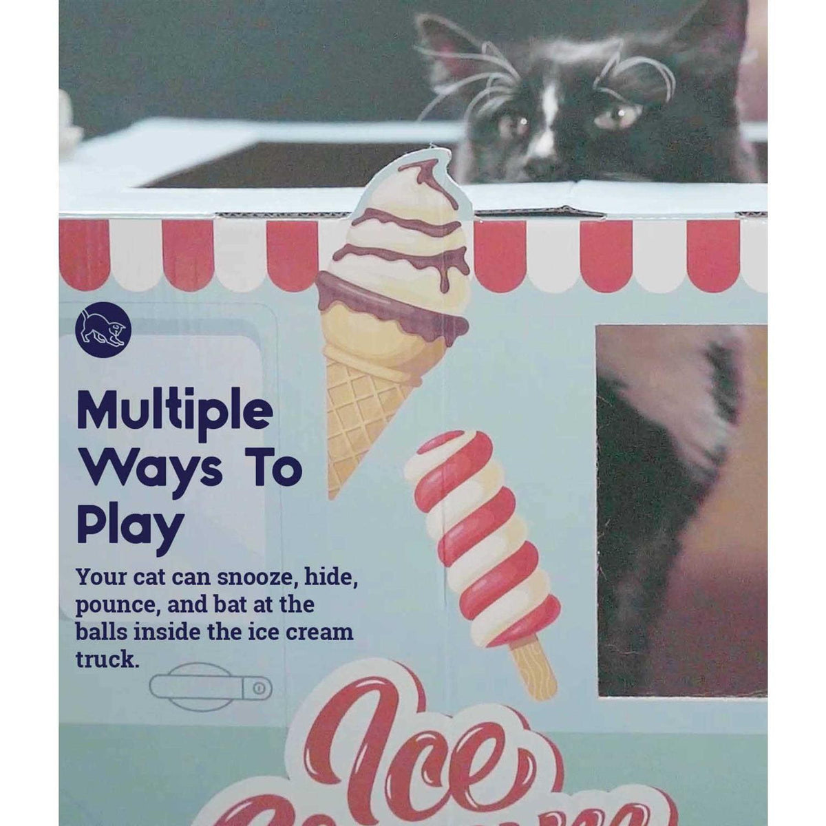 Cardboard Cat Toy C43101