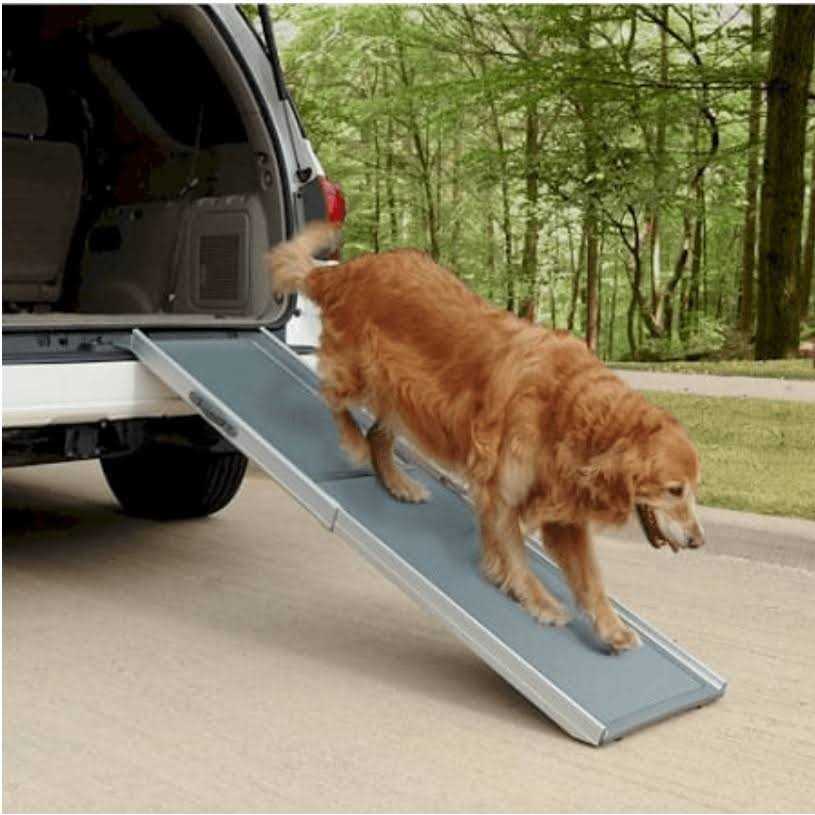 Telescoping Dog Ramp J84900