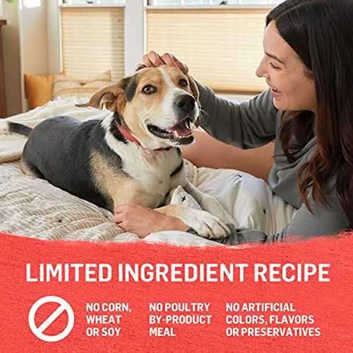 Grain Free Beef Potato & Green Bean Recipe Ground Entree Wet Dog Food 13 Ounce Y1306