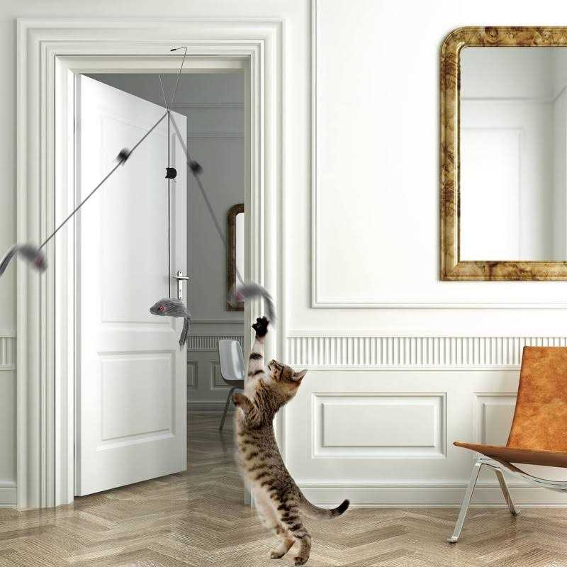Hanging Door Cat Mouse Toys D711780