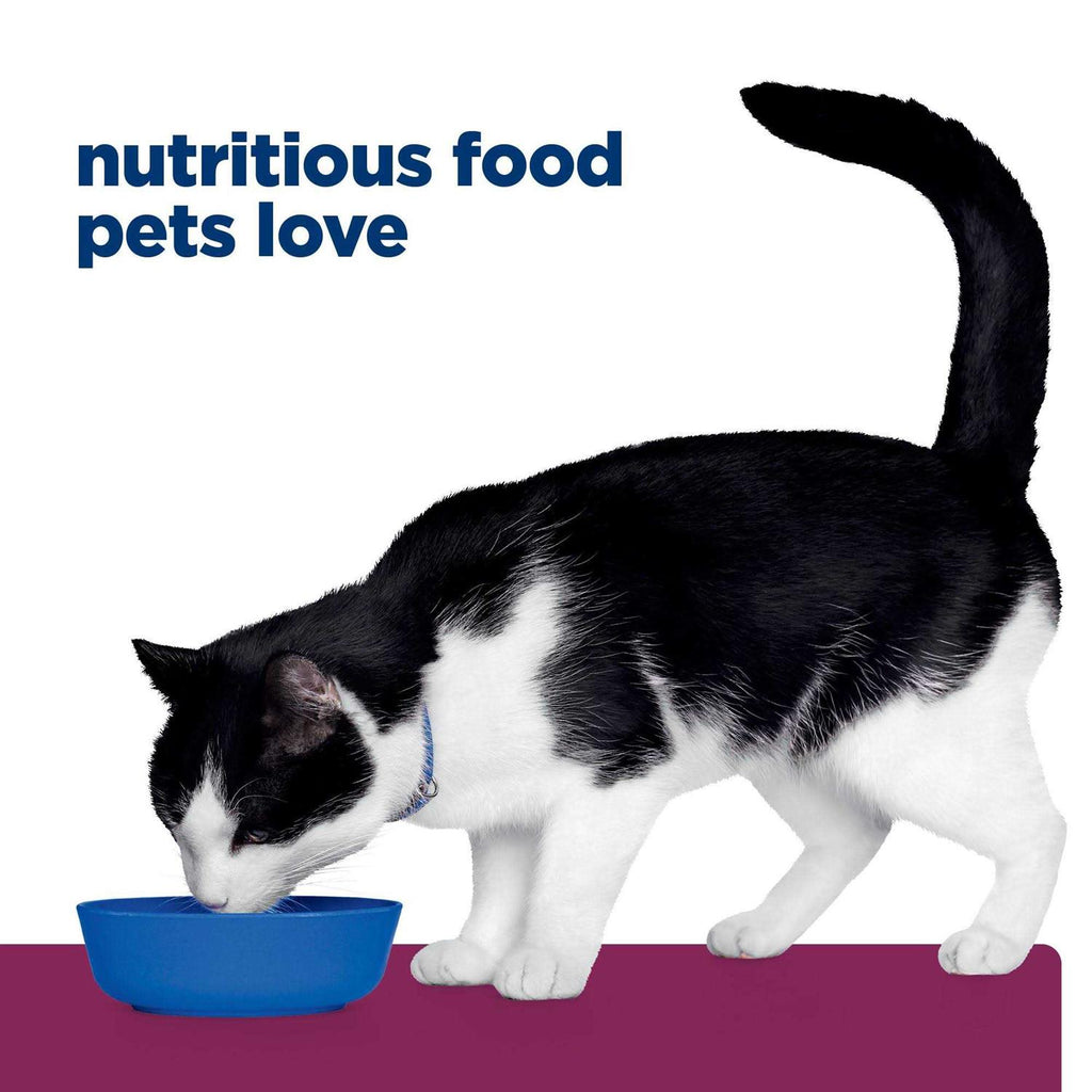 Gastrointestinal Health Feline Dry Food K308399