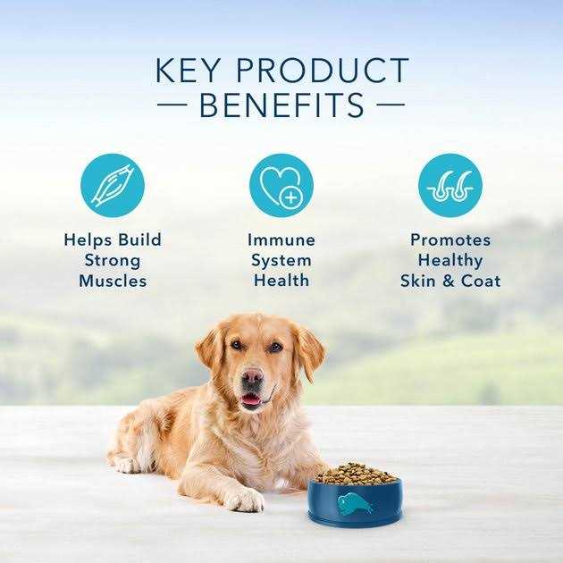 Adult Chicken & Brown Rice Recipe Dry Dog Food K8540