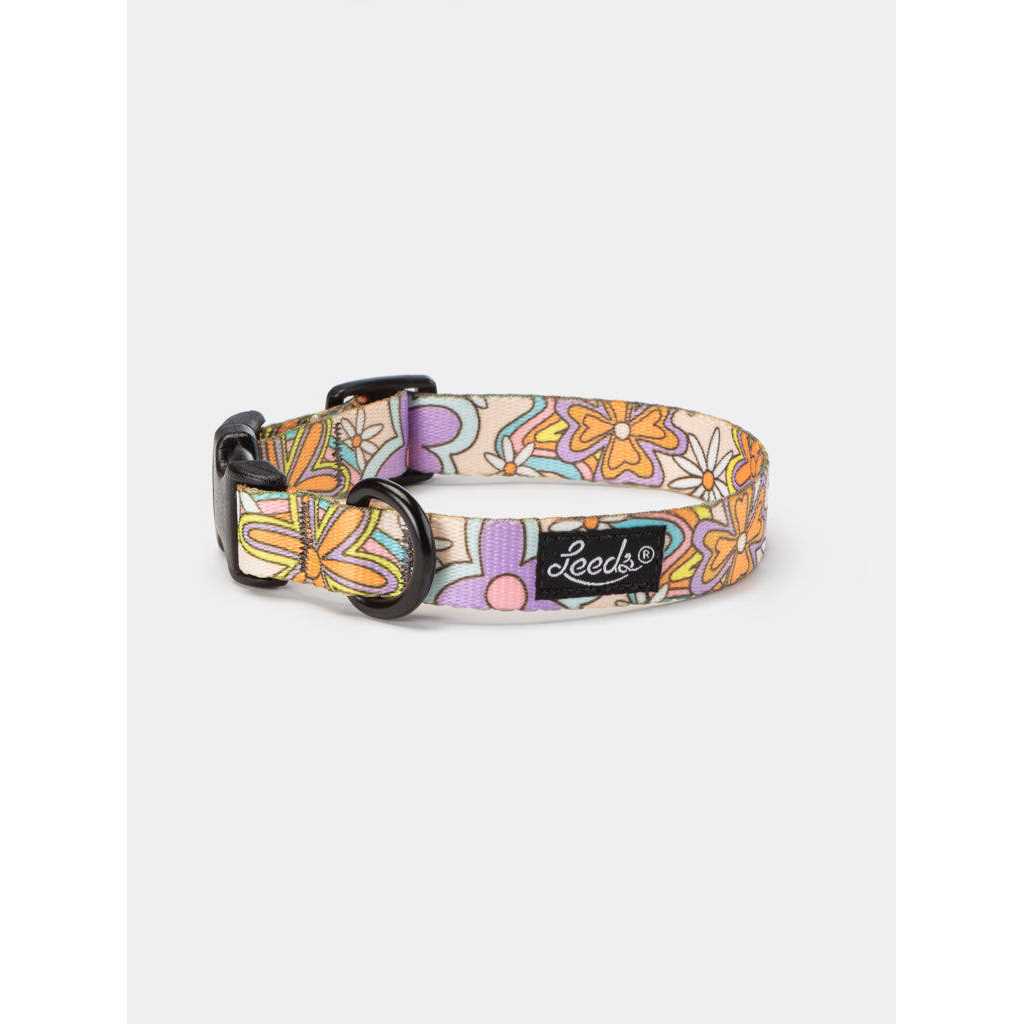 Dog Collar F56113