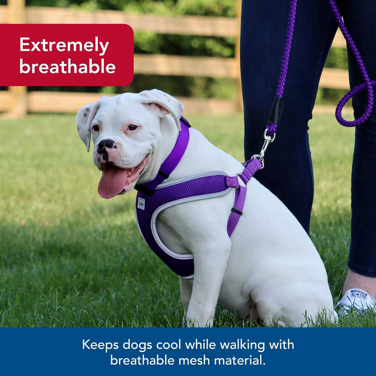 Adjustable Dog Harness E236