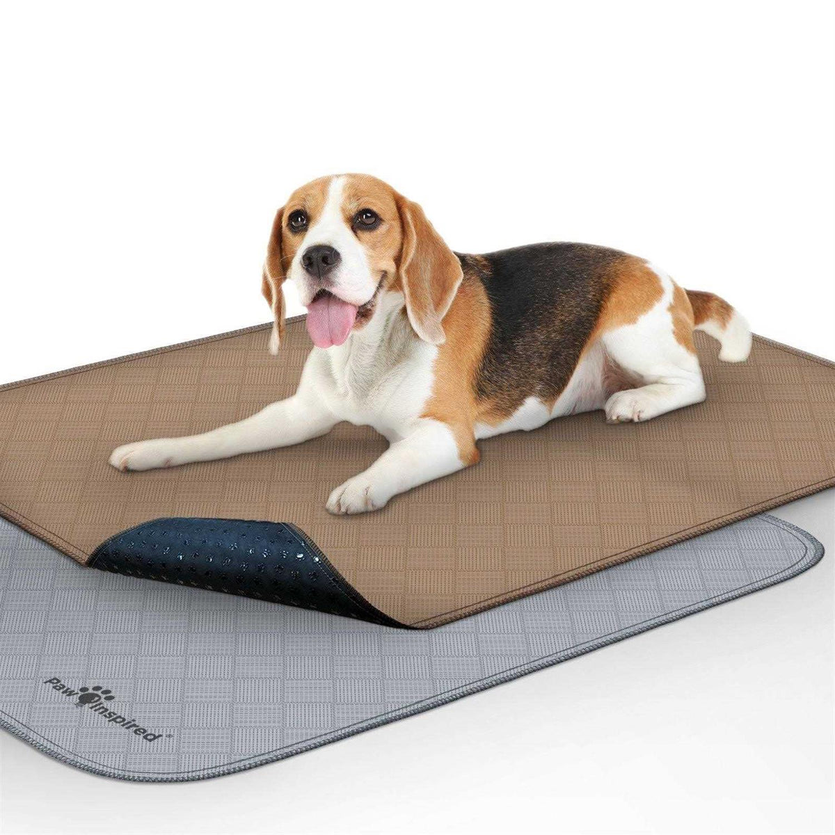 Washable Reusable Pee Pads for Dogs S215