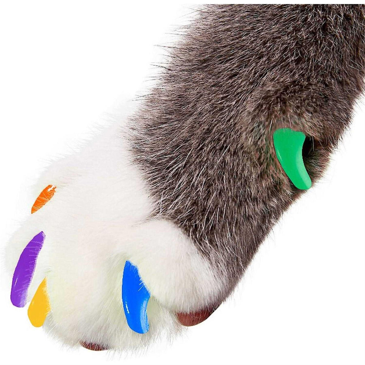 Soft Nail Caps for Cat Claws Q62690