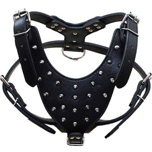Leather Spiked Studded Dog Collars Harnesses Matching Set C248342